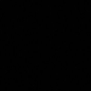 Meet your Posher, Ty